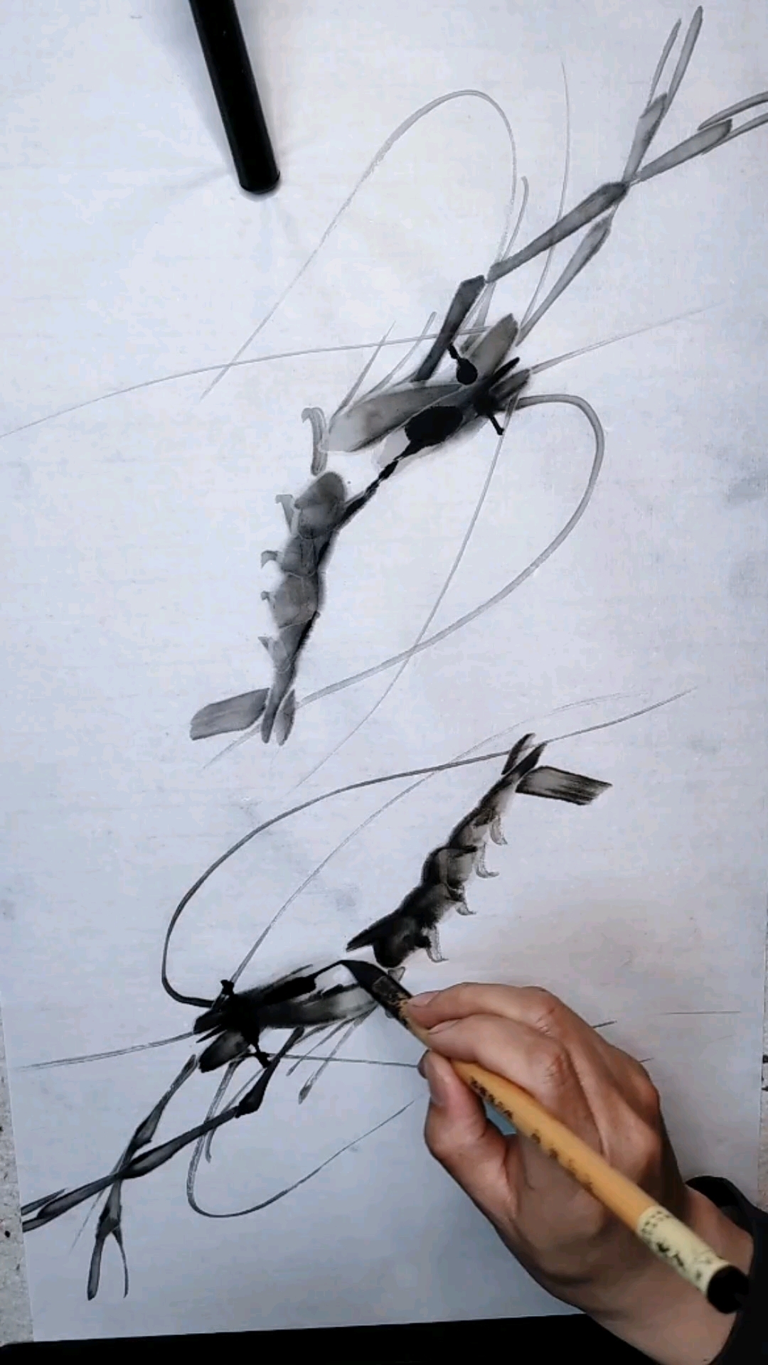 现代水墨虾画家王存东画虾学习视频