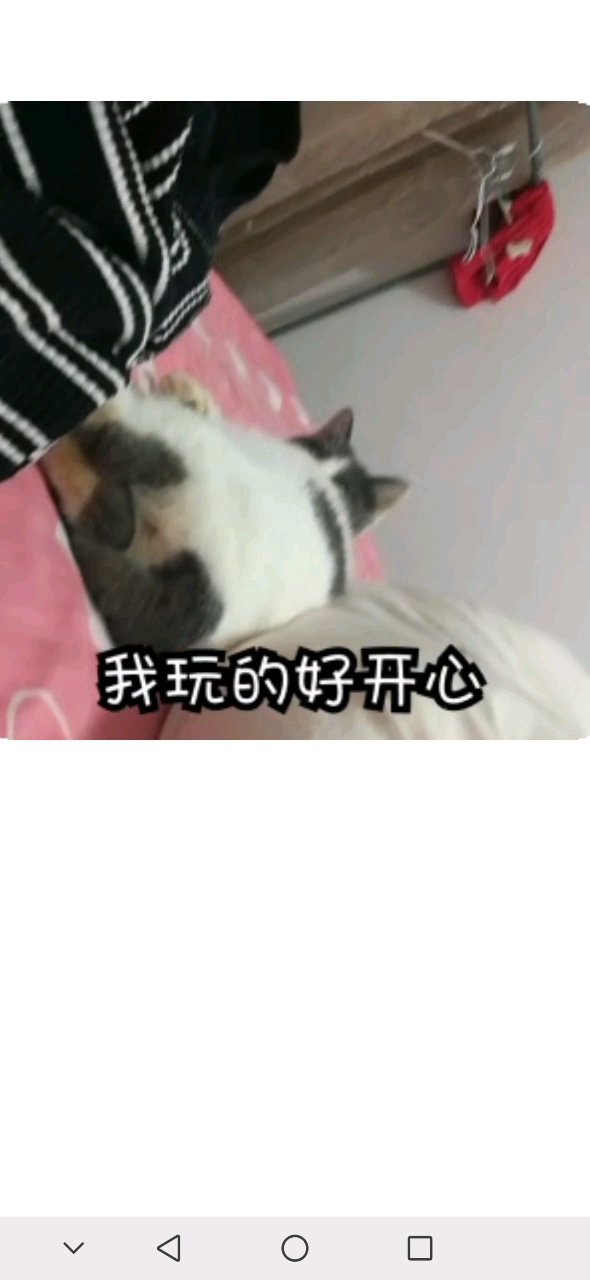 小可爱,王黏黏表情包