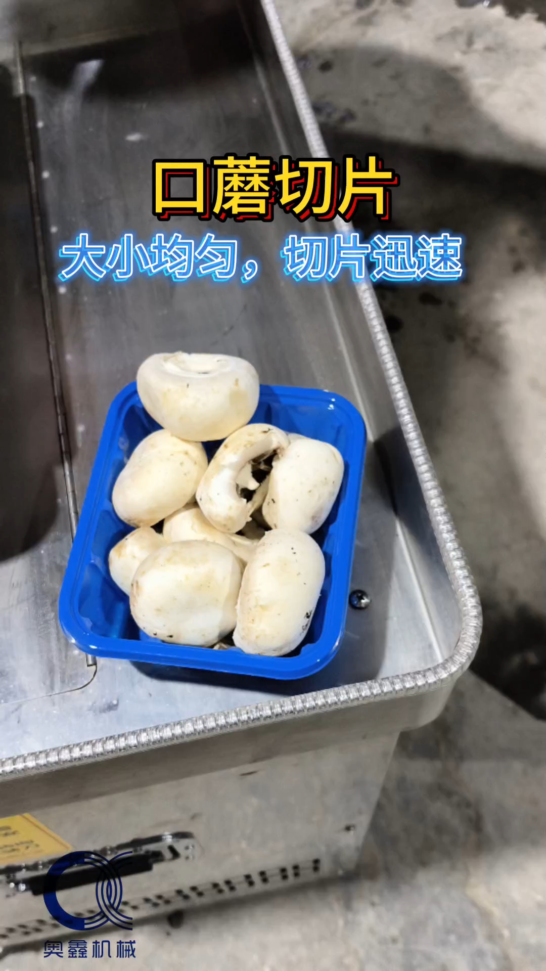 口蘑切片,切片均匀,切片迅速#口蘑切片机 