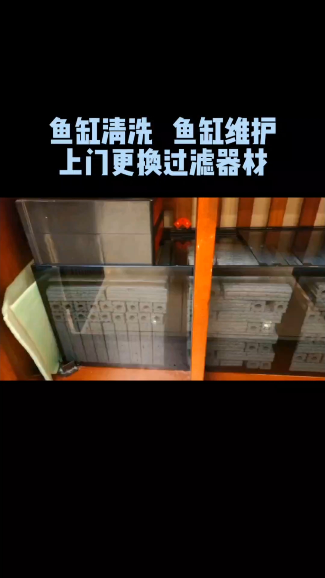北京上门鱼缸清洗维护,更换过滤器材,鱼缸包年包月定期维护。
