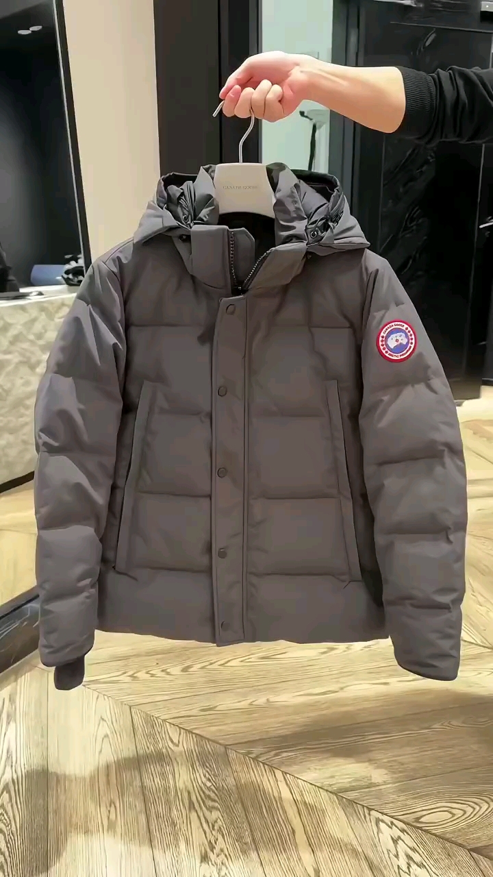 大鹅经典新款羽绒服