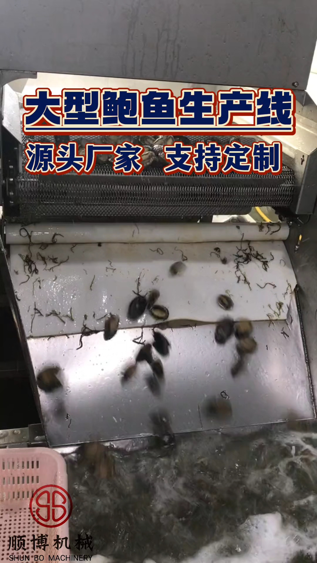 鲍鱼加工生产线解决了客户效率低,成本高的问题。#鲍鱼加工设备