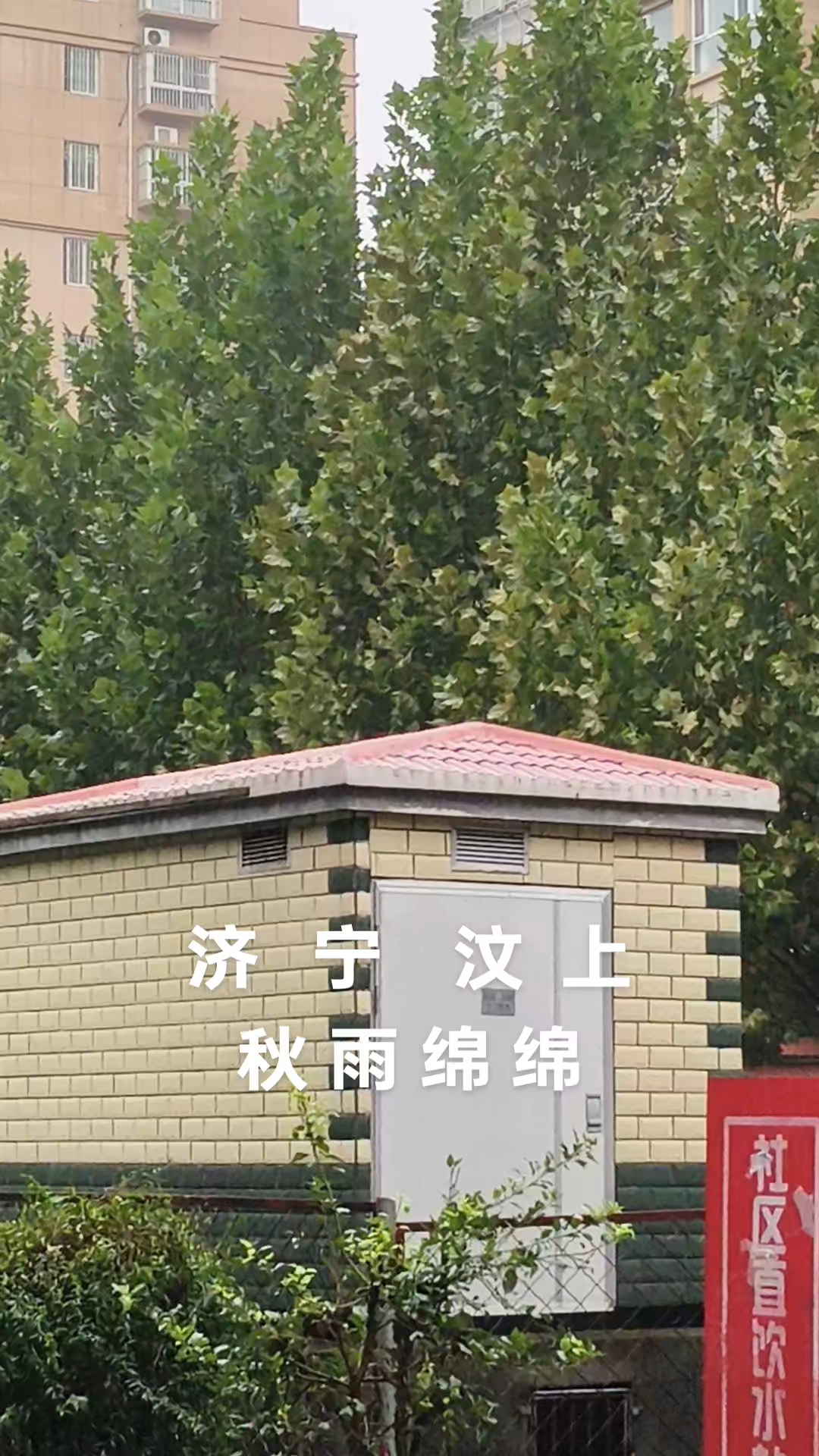 分享视频