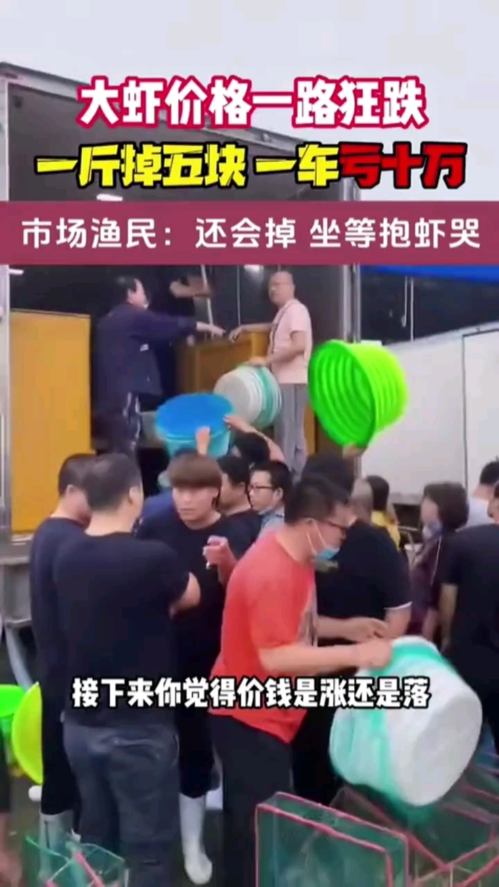 野生海捕大虾满膏满黄