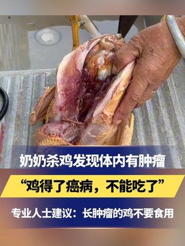 奶奶杀鸡发现其体内有肿瘤“鸡得了癌病,不能吃了”专业人士建议:长肿瘤的鸡不要食用 肿瘤 鸡