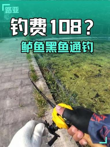 108鲈鱼黑鱼通钓？#第一视角路亚 #路亚操作技巧 #钓鱼 #万物皆可种草搜