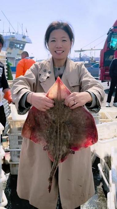 封海前大船陆续靠岸了，今天来码头看看都有什么新鲜的鱼类虾类，鹰爪虾不错，开启抢货模式咯存下