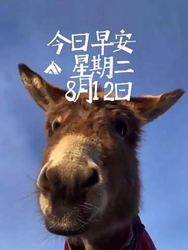 每日早安|早上好!我的朋友,该起床了!记得吃早饭,今天也要加油哟!新华每日电讯