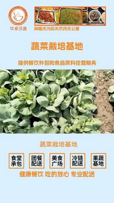 蔬菜栽培基地,很多人还不知道什么是食材配送,接下来给大家介绍一下。食材稳定供应 食材配送 