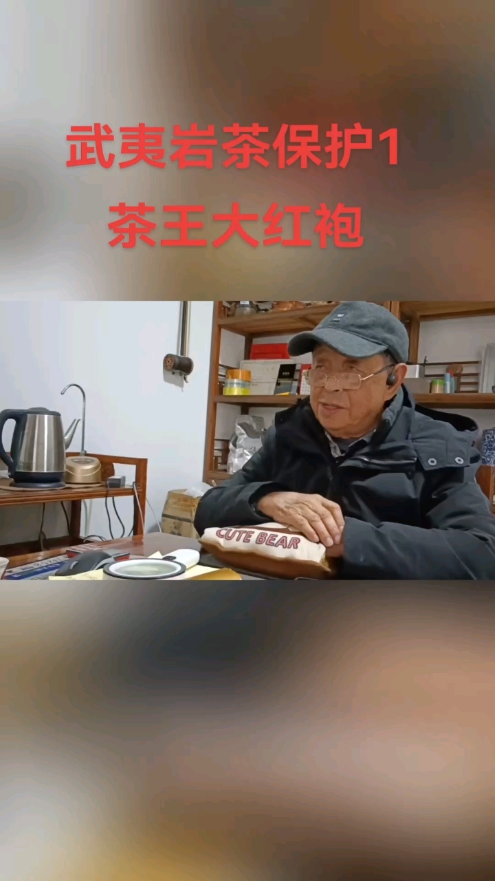 武夷岩茶保护协会(1)大红袍茶王#正岩肉桂