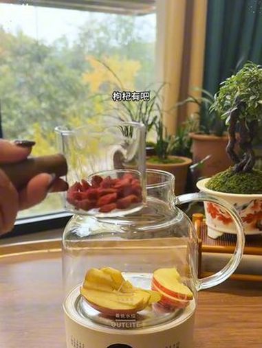 多功能养生壶煮茶器煮茶壶家用泡花茶小型办公室烧水壶一体 多功能养生茶壶 家用茶水壶 多功能