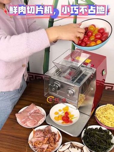 切肉片机 鲜肉切片机 切片机 肉类加工设备 切肉机