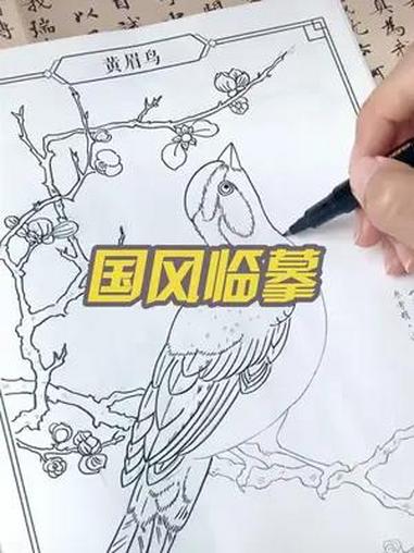 暑假在家小孩每天都玩手机看电视的,可以试试买一套这样的国风素描绘画,每本图案丰富多样,还能