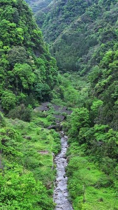 曾经的茶马古道，狗吠鸡鸣，炊烟袅袅的小山村，如今只有残垣断壁，鸟音虫吟，潺潺流水，还有我那