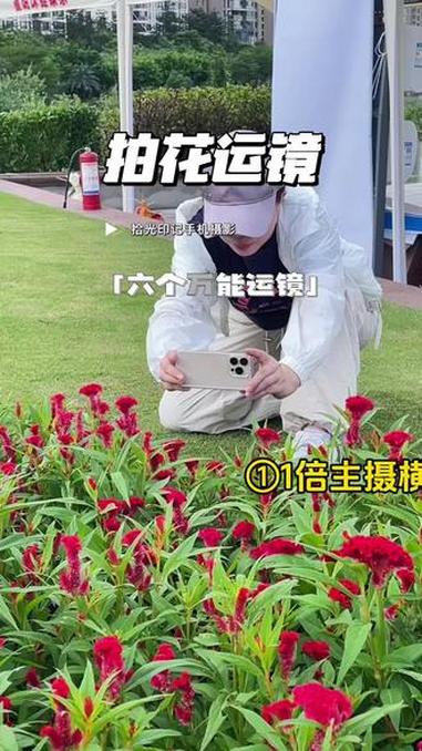 拍花六大万能运镜,简单易学 #手机摄影 #拍花技巧 #春天的色彩 #鸡冠花 #拍摄教程