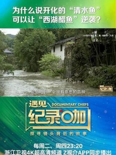 专门在家里开一个鱼塘养的是什么“神仙鱼”？今天23：20浙江卫视4K超高清频道与Z视介，敬