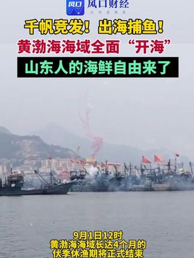 千帆竞发,出海捕鱼!黄渤海海域全面开海,山东人的海鲜自由来了 开海 休渔期 追鲜72小时