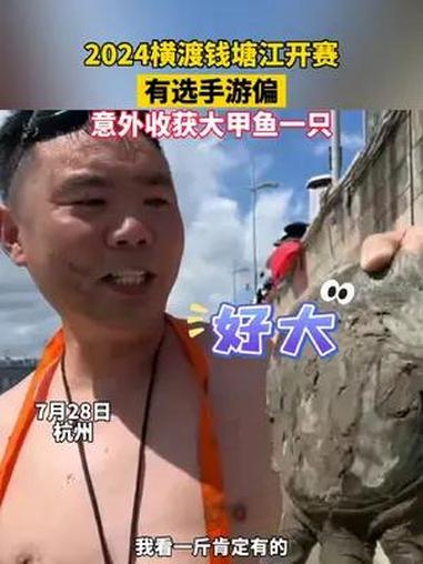2024横渡钱塘江开赛,有选手游偏意外收获大甲鱼一只