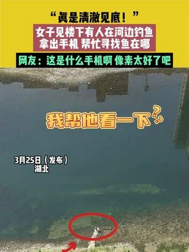 3月25日(发布)湖北,“真是清澈见底!”,女子见楼下有人在河边钓鱼,拿出手机,帮忙寻找鱼