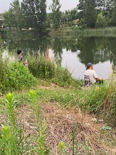 鲫鱼鲤鱼鮰鱼黑鱼 野钓 钓鱼 户外钓鱼 钓鱼野钓 垂钓