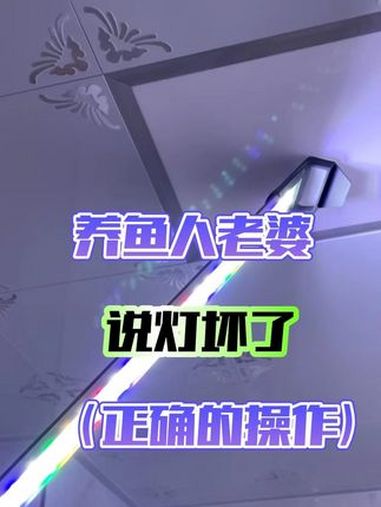 看完这个视频,你老婆还有什么理由不让你养鱼?养鱼人的乐趣 鱼缸灯
