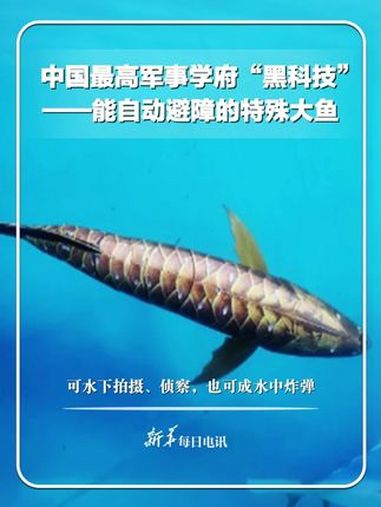 每日科技 回顾中国最高军事学府“黑科技”,能自动躲避障碍的特殊大鱼,可水下拍摄、侦察,也可