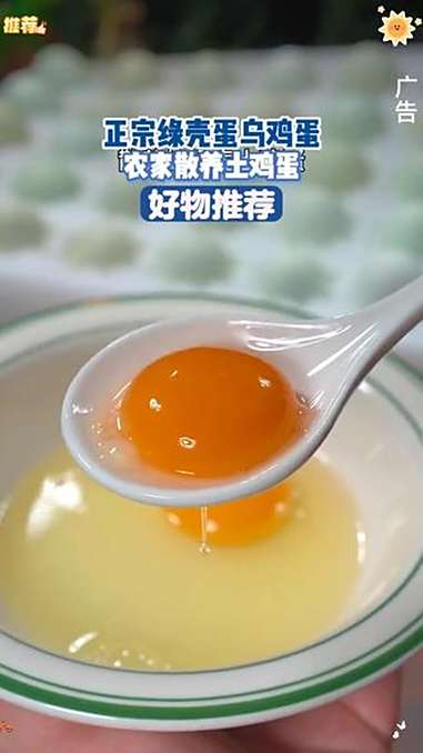 来啦,我又来捡鸡蛋了,都是绿壳乌鸡蛋。优质农产品