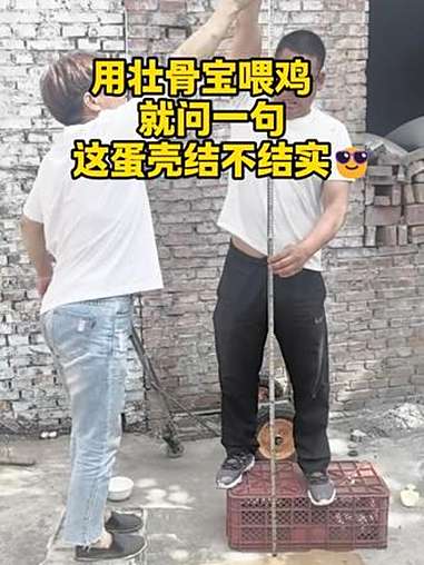 就问一句这蛋壳结不结实 养鸡别输在蛋壳上!饲料中加壮骨宝,蛋壳质量硬邦邦!收的鸡蛋一筐筐完
