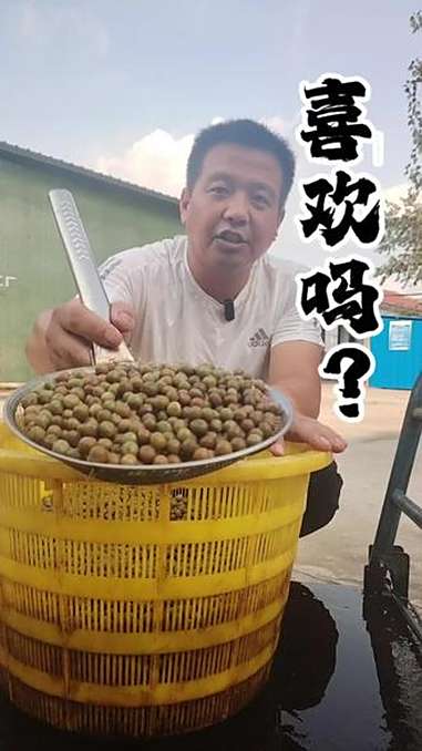 喜欢吃炉桥鸡头果吗?那就来吧 鸡头米