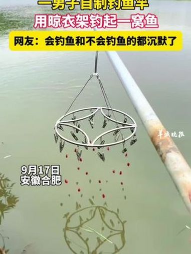 一男子自制钓鱼竿,用晾衣架钓起一窝鱼,网友:会钓鱼和不会钓鱼的都沉默了