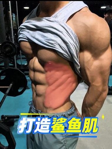 健身干货 鲨鱼肌 想要腹肌整体好看 腹外斜也是必不可少的部位 想要鲨鱼肌的小伙伴可以这样去