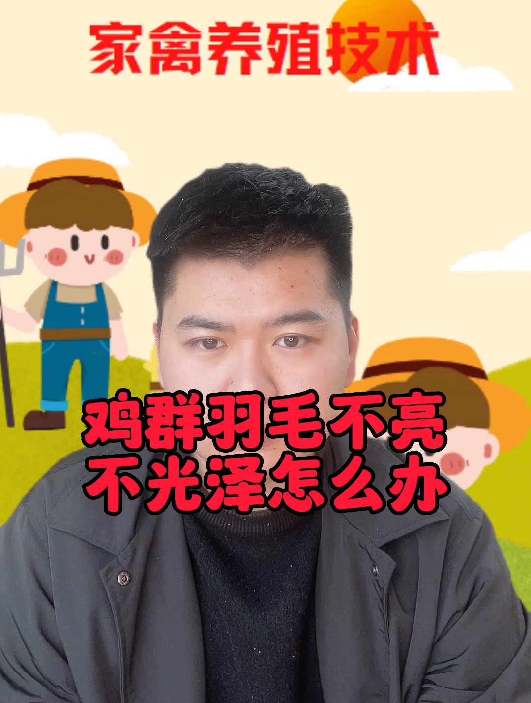 鸡吃什么羽毛长的漂亮鸡毛不光滑是什么原因鸡长羽毛需要添加什么