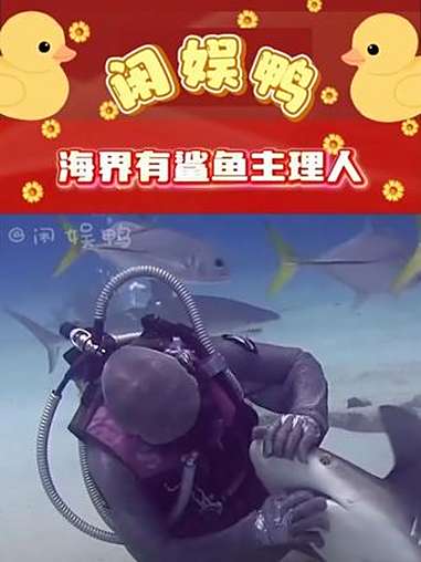鲨鱼:妈这就是我说的杏林圣手啊……鲨鱼 海底 动物 海底世界 善良