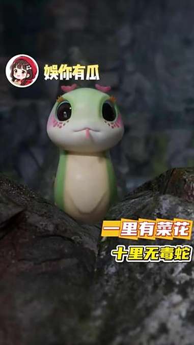 菜花蛇:真正的强者根本不需要毒液!菜花蛇 科普 强者 反差