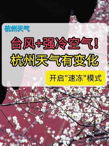 台风+强冷空气来袭!杭州近期天气变化较快,下周降温准备换冬装 降温 台风 杭州天气 天气预