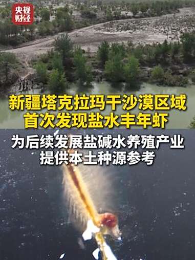 新疆塔克拉玛干沙漠区域首次发现盐水丰年虾 为后续新疆乃至全国发展盐碱水养殖产业 提供本土种