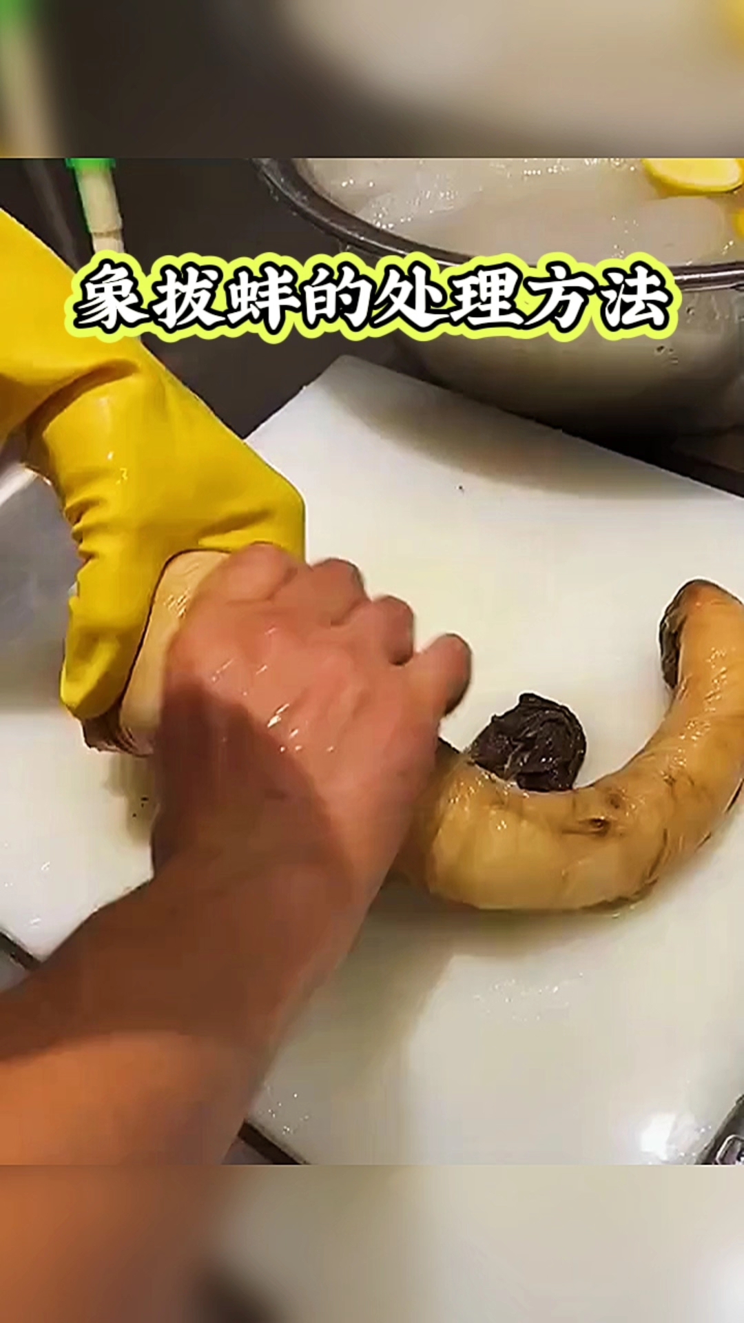 象拔蚌的处理方法