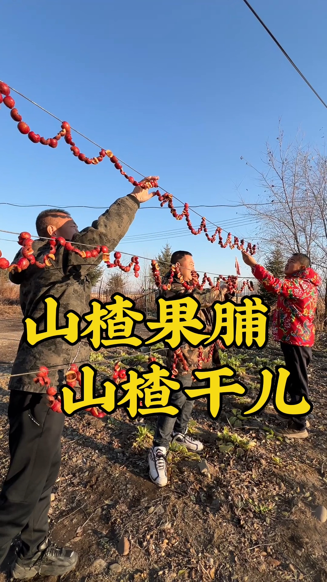东北猫冬必备零食,山楂果脯山楂干儿,跟我学这样做好吃