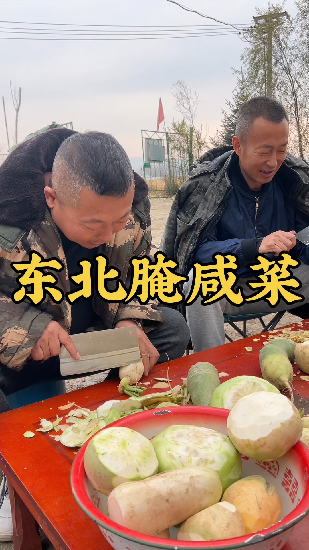 带大家看看东北猫冬前必须要腌的各种咸菜疙瘩都有啥