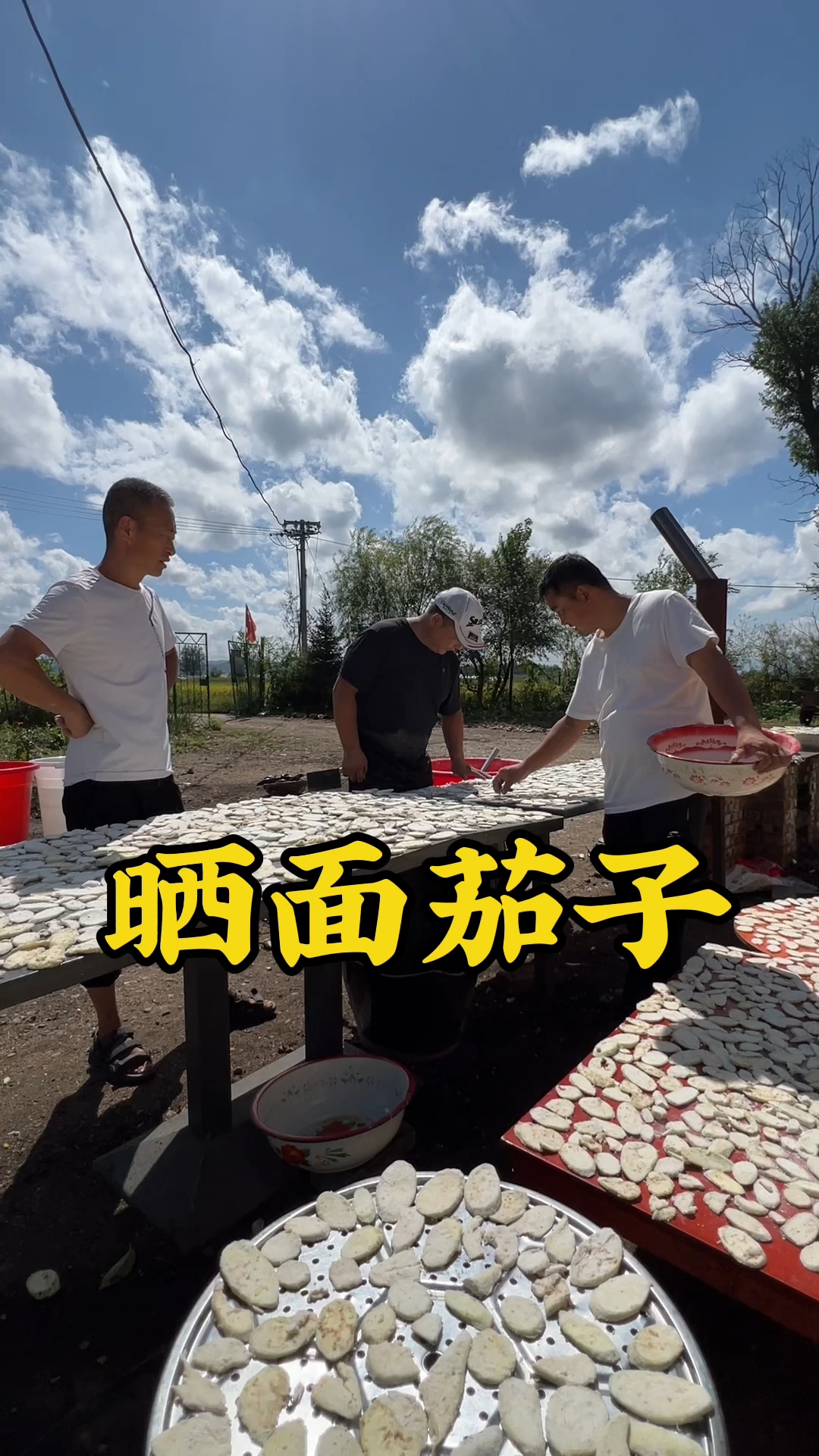东北又到了一年一度晒干菜的季节了,今天晒面茄子,留着冬天吃