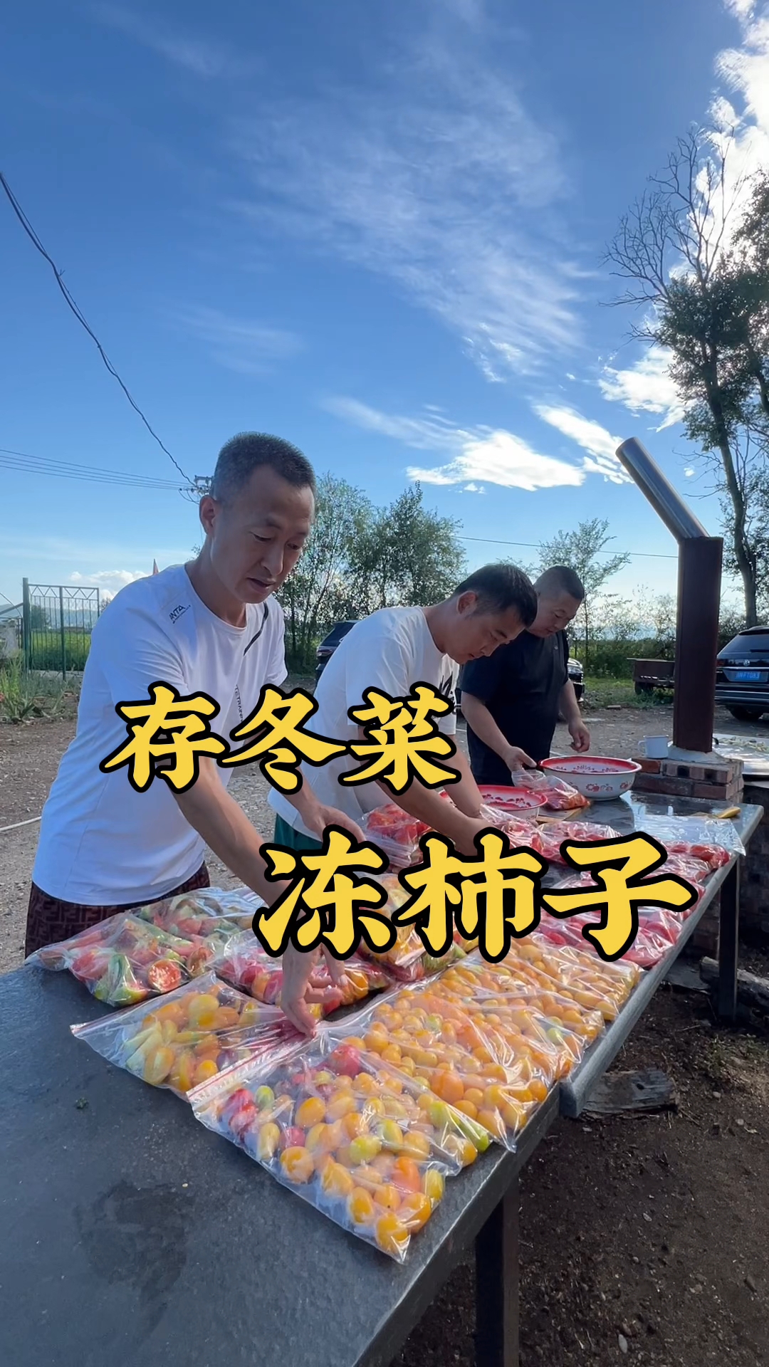 又到了一年一度存冬菜的季节了,今天冻柿子,冬天吃可好吃了