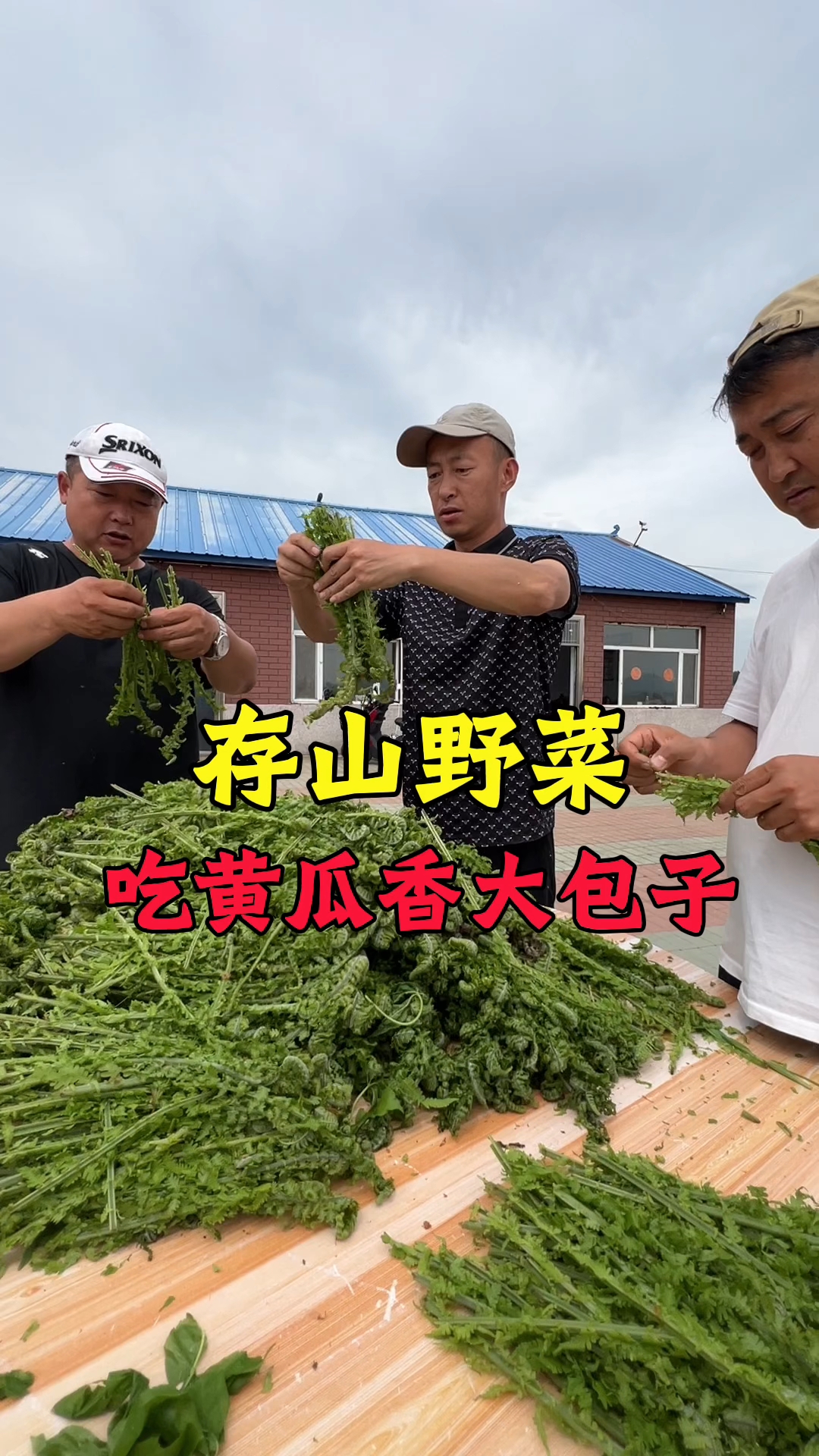 带大家看看山野菜怎么样能四季都吃上的#三农生活#