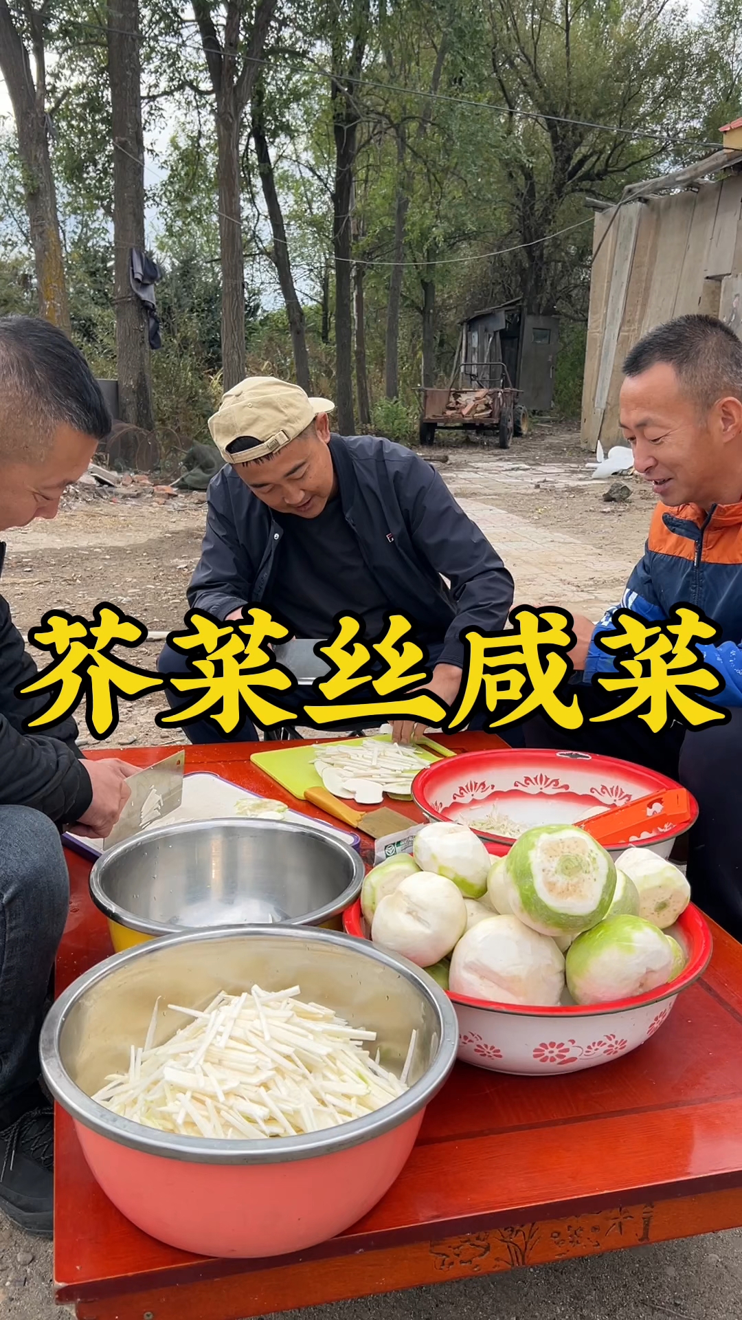 东北一款特别有地位的咸菜,芥菜丝咸菜,带大家看看它是怎么做的
