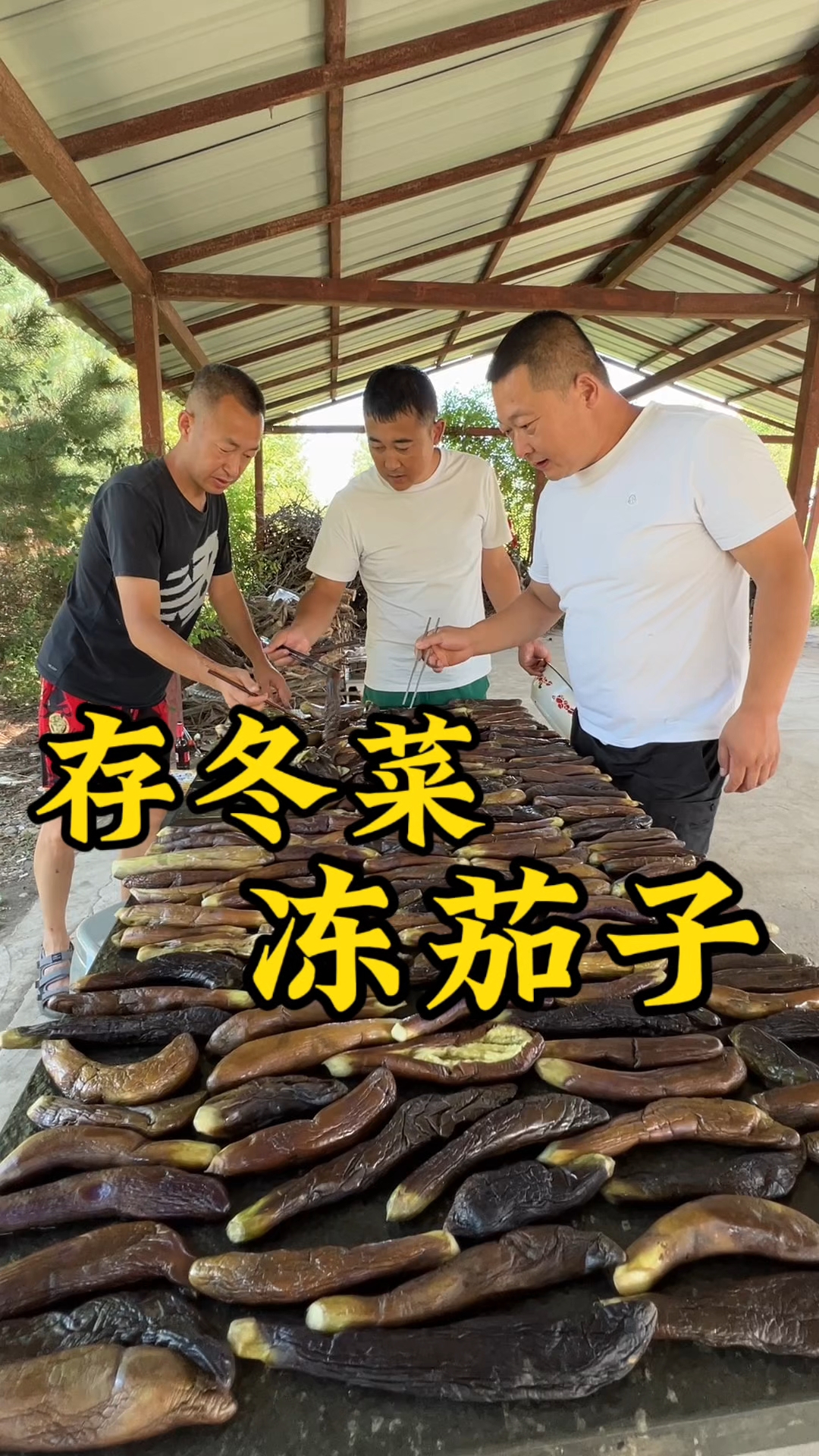 又到了一年一度存冬菜的季节，今天冻茄子，为猫冬做准备