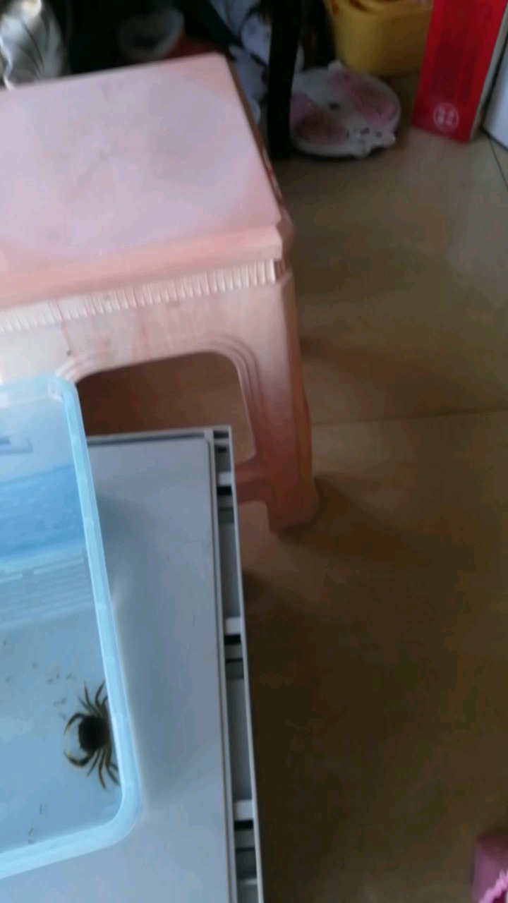 我的小螃蟹腿长沙