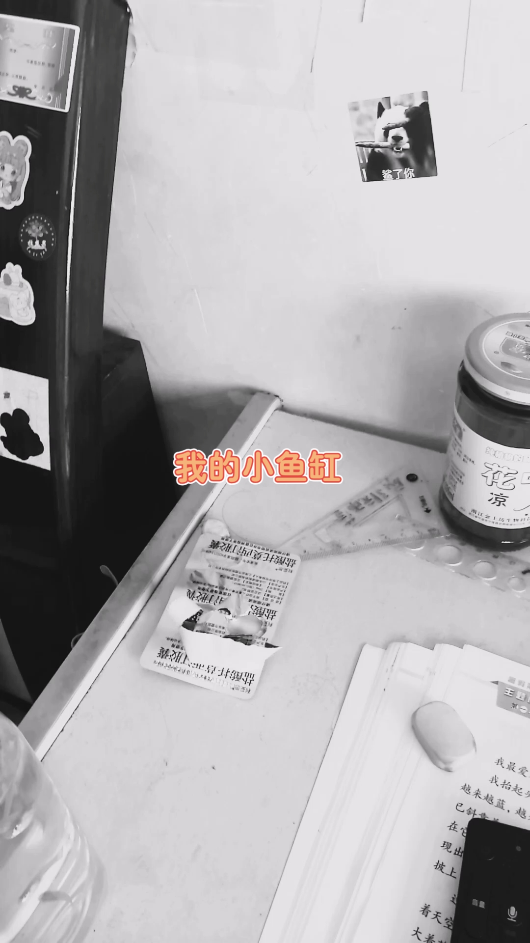 我的小鱼缸背景图