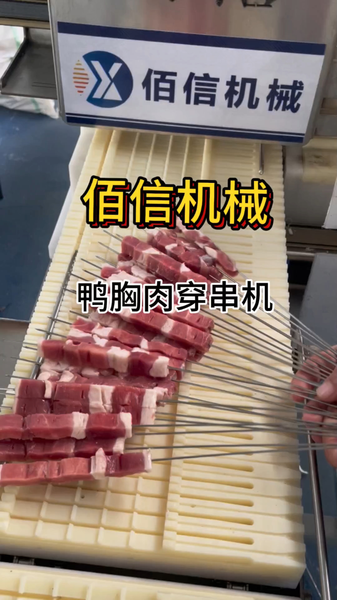 鸭胸肉切穿一体机