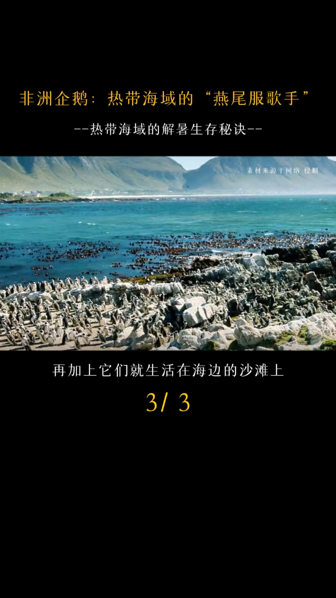 热带企鹅怎么解暑