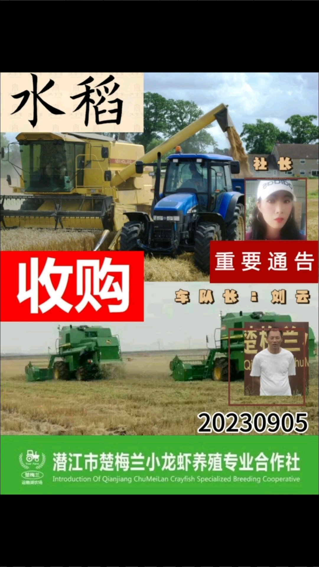 20230905水稻收购统筹通告#潜江市楚梅兰小龙虾养殖专业