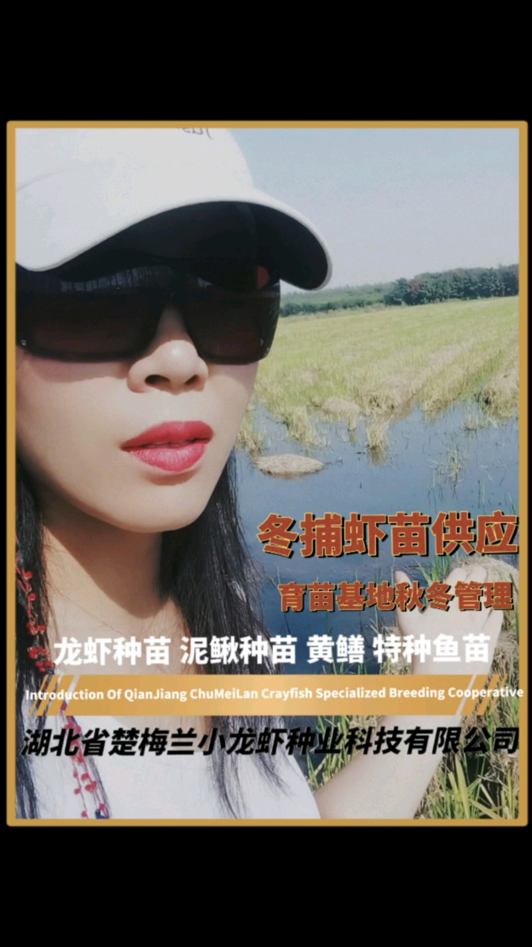 20231018小龙虾繁育基地秋冬管现状